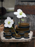 Blomsterfakir